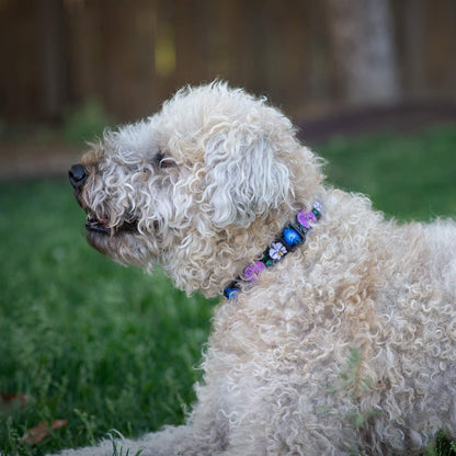 Floral Flower Dog Collar (Medium, Orchid)