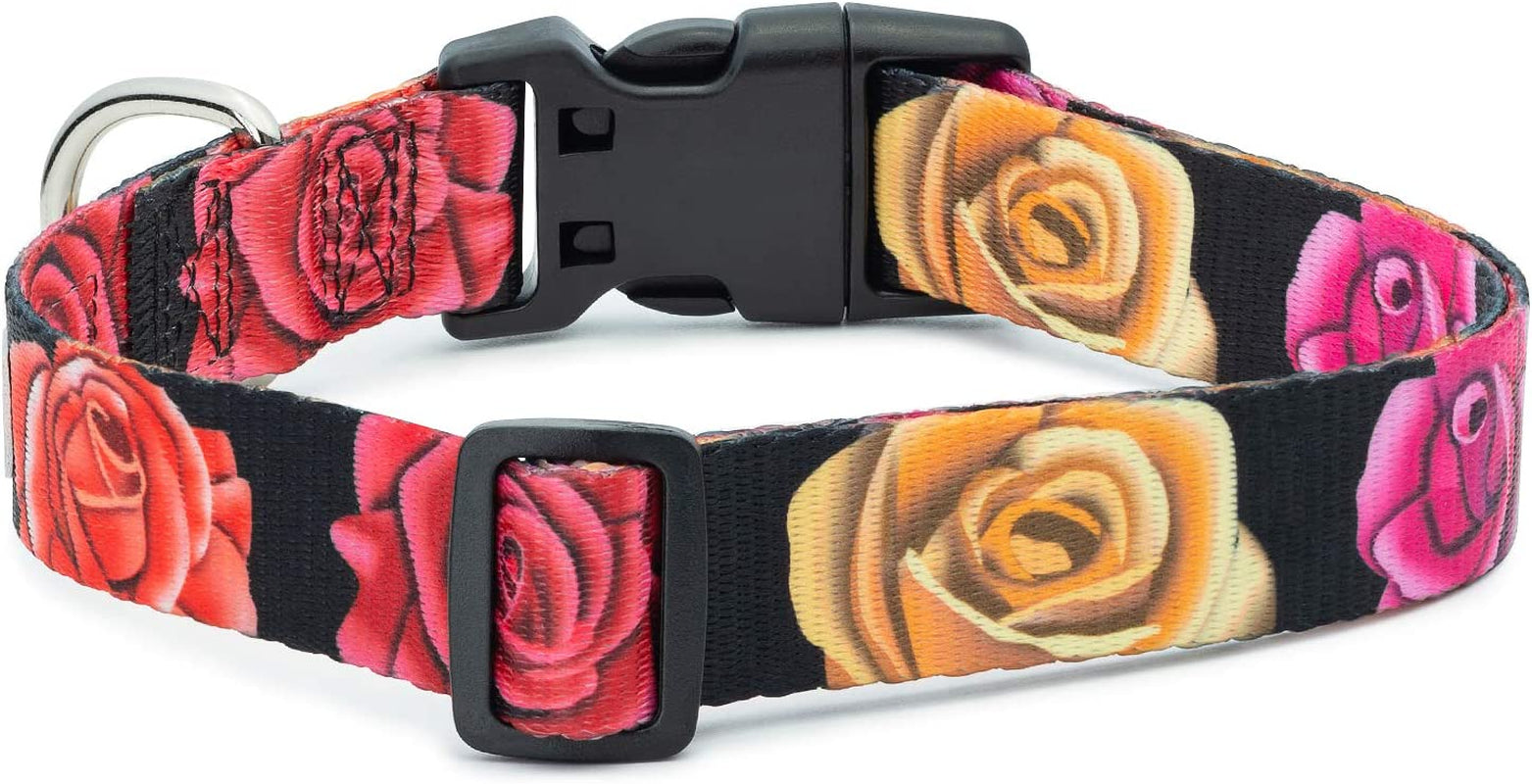Floral Flower Dog Collar (Medium, Rose)