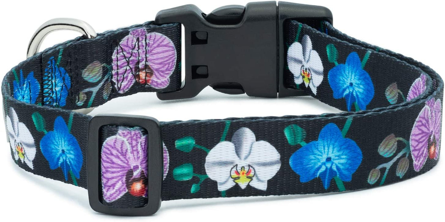 Floral Flower Dog Collar (Medium, Orchid)