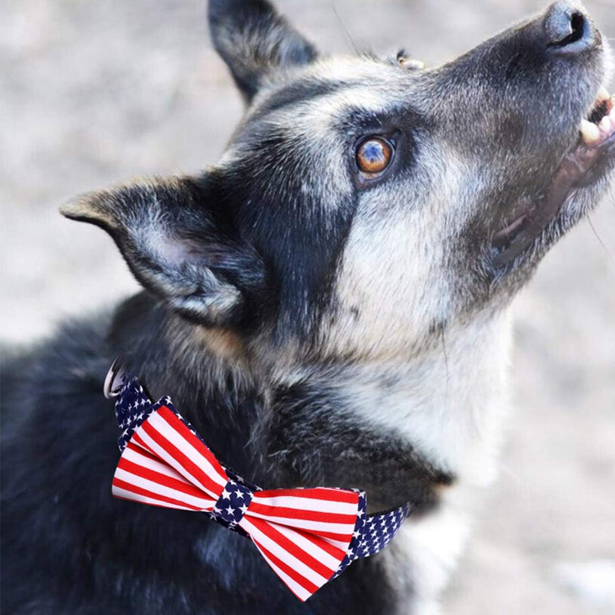American Flag Bowtie Dog Collar in 3 Different Sizes (Medium:Width 2.0Cm, Adjustable 34-50Cm)
