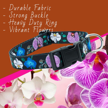 Floral Flower Dog Collar (Medium, Orchid)